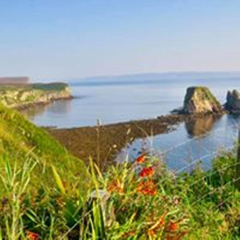 Windhaven Camping And B&B Thurso Extérieur photo