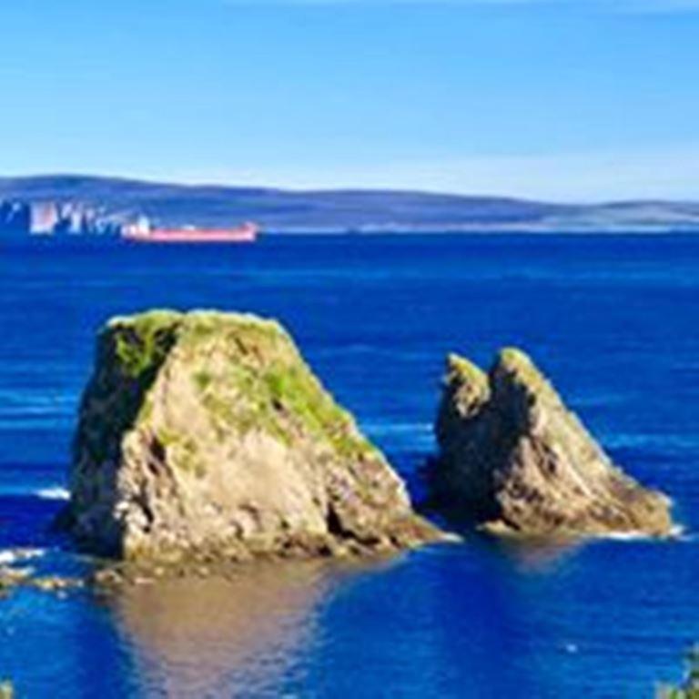 Windhaven Camping And B&B Thurso Extérieur photo