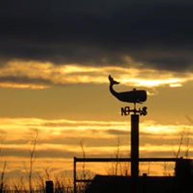 Windhaven Camping And B&B Thurso Extérieur photo